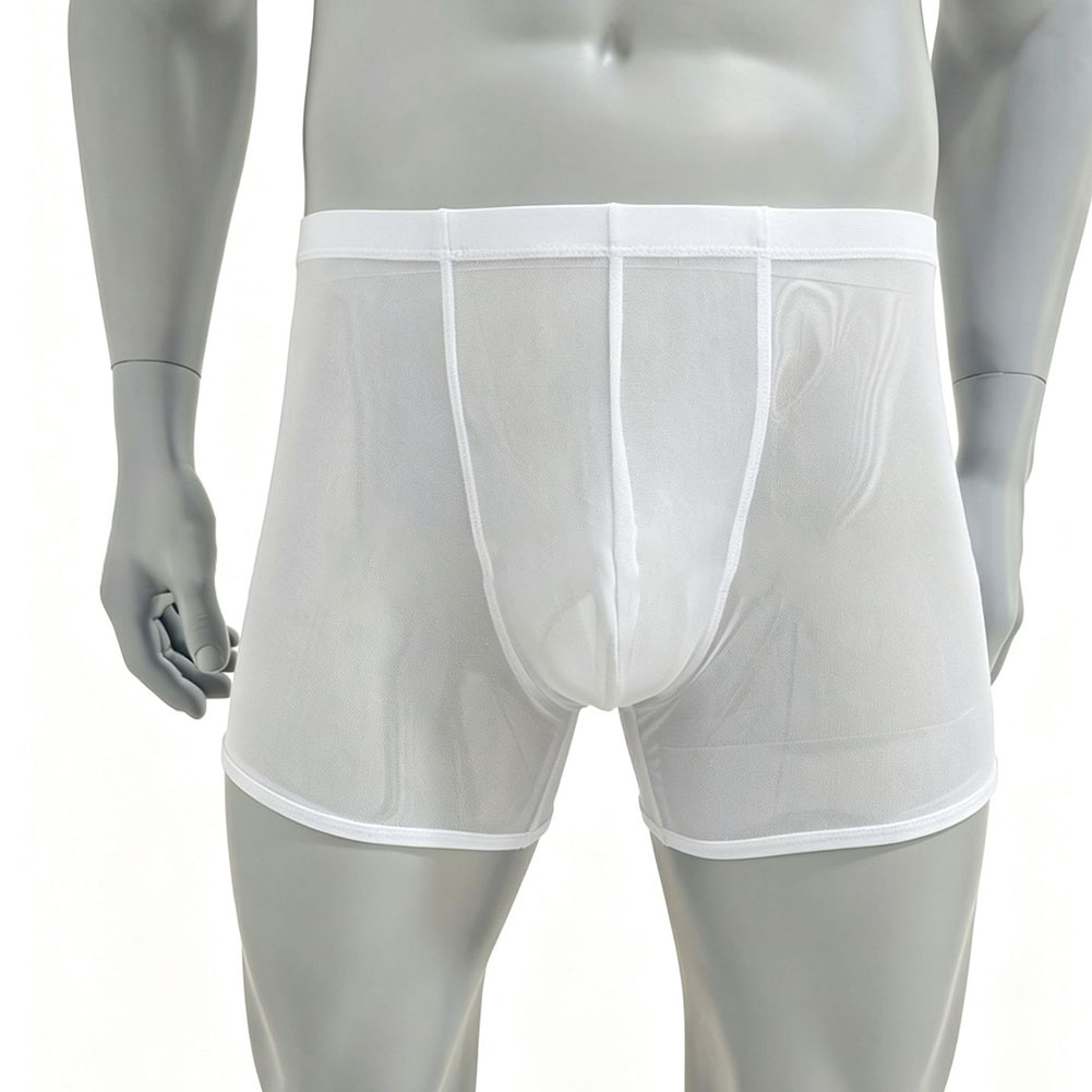 Men Mesh See-through Ultra-thi - Long Leg Trunk Men 评论和价格
