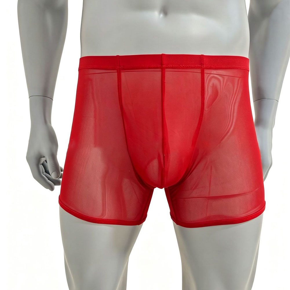 Men Mesh See-through Ultra-thi - Long Leg Trunk Men 评论和价格