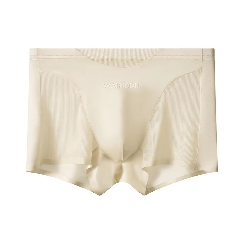 Simple Mesh Ice Silk Underwear - Mesh Sport Boxer 评论和价格