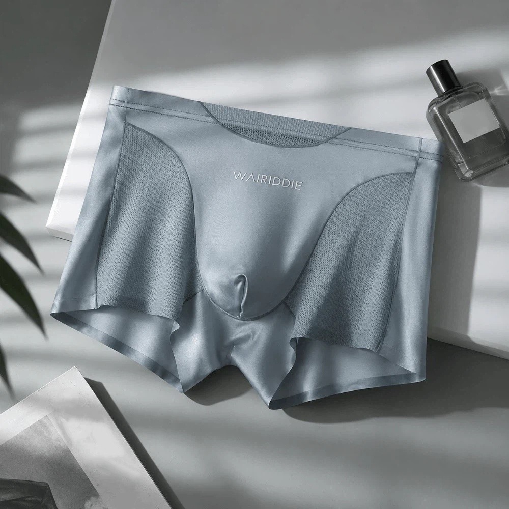 Simple Mesh Ice Silk Underwear - Mesh Sport Boxer 评论和价格